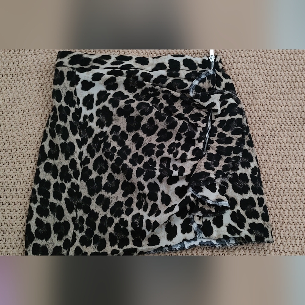 Zara Mini Skirt